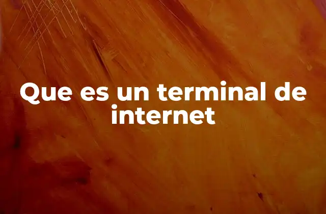 Que es un Terminal de Internet