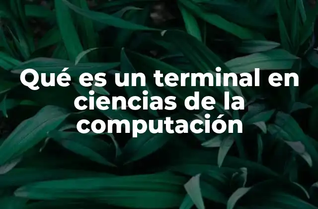 Qué es un Terminal en Ciencias de la Computación