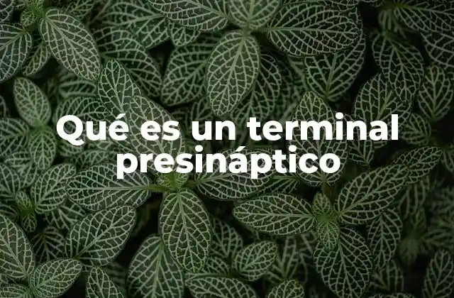 Qué es un Terminal Presináptico