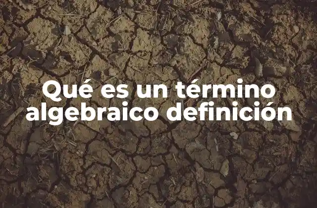 Qué es un Término Algebraico Definición
