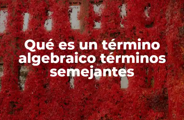 Qué es un Término Algebraico Términos Semejantes