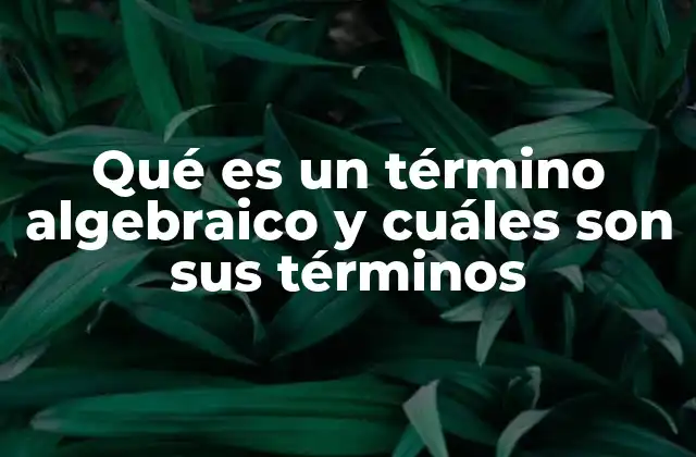 Qué es un Término Algebraico y Cuáles Son Sus Términos