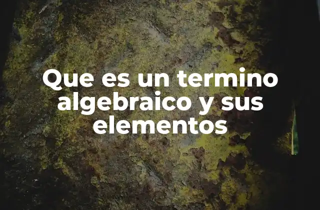 Que es un Termino Algebraico y Sus Elementos