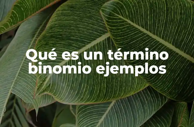Qué es un Término Binomio Ejemplos
