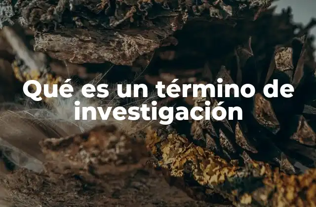 Qué es un Término de Investigación