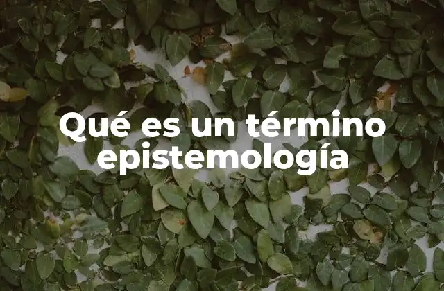 Qué es un Término Epistemología