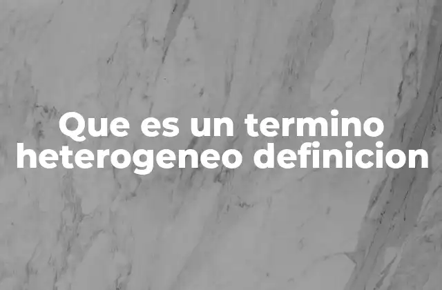 Que es un Termino Heterogeneo Definicion