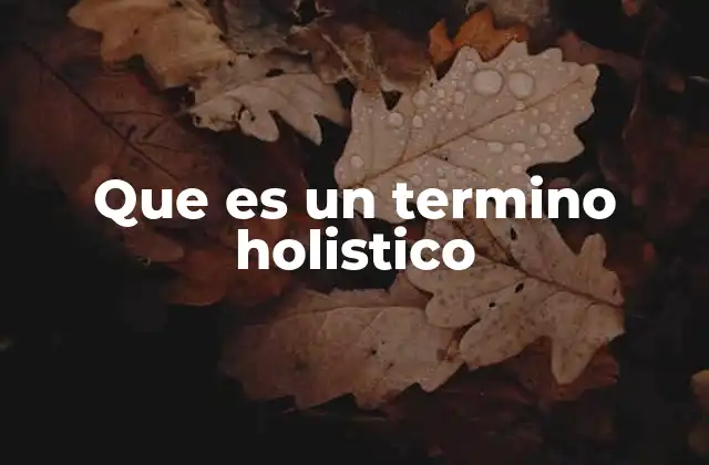 Que es un Termino Holistico