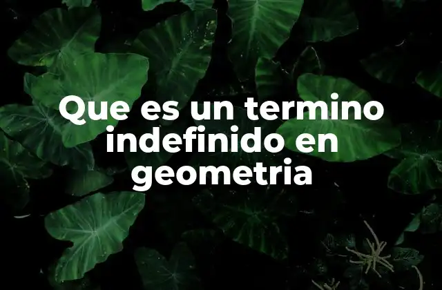 Que es un Termino Indefinido en Geometria