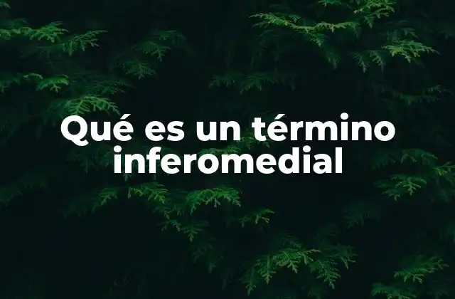 Qué es un Término Inferomedial