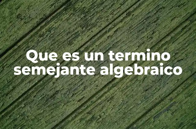 Que es un Termino Semejante Algebraico