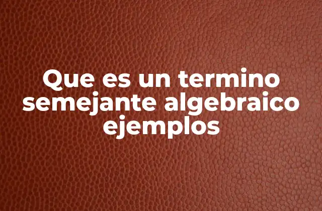 Que es un Termino Semejante Algebraico Ejemplos