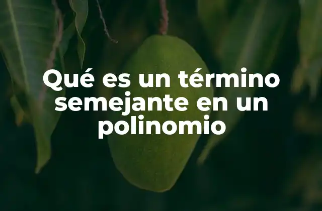 Qué es un Término Semejante en un Polinomio