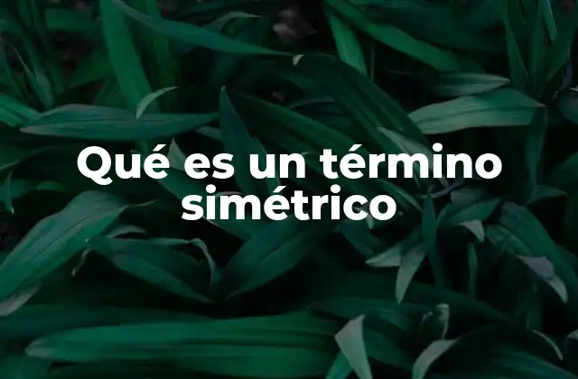 Qué es un Término Simétrico 2 Simetría en contextos matemáticos y físicos