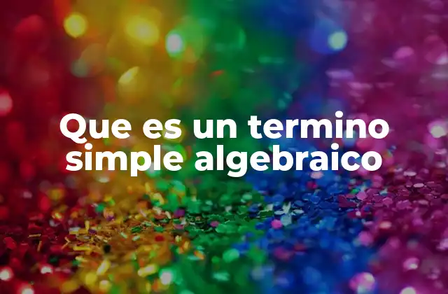 Que es un Termino Simple Algebraico