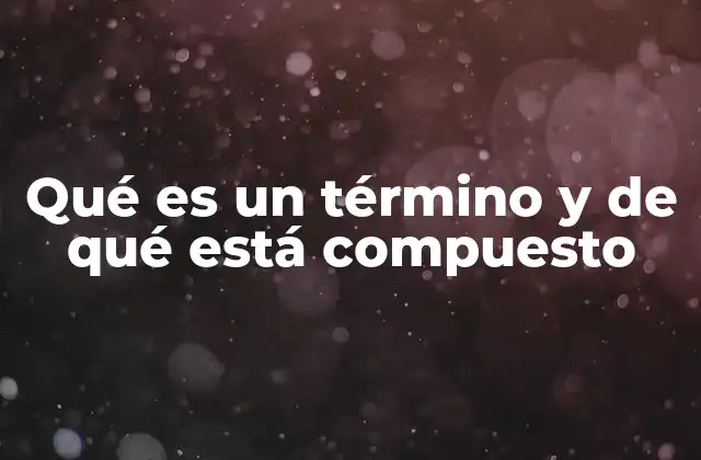 Qué es un Término y de Qué Está Compuesto 2 La estructura interna de los términos y su formación