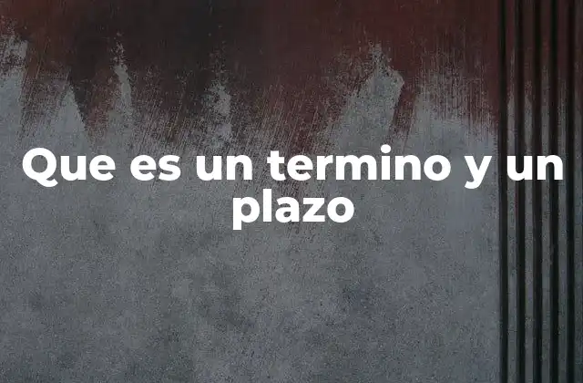 Que es un Termino y un Plazo