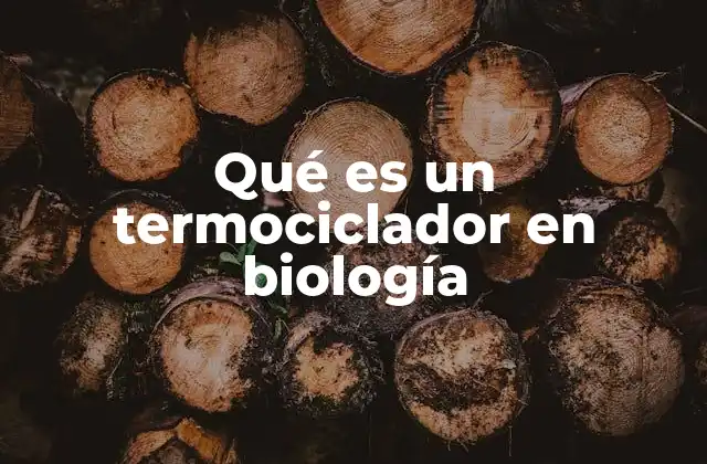 Qué es un Termociclador en Biología