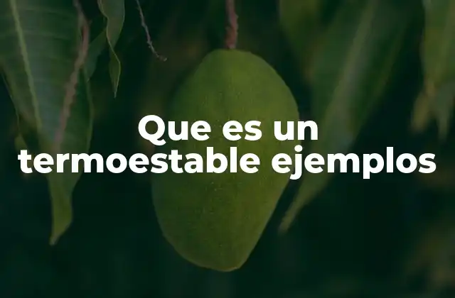 Que es un Termoestable Ejemplos