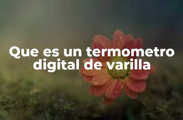Que es un Termometro Digital de Varilla