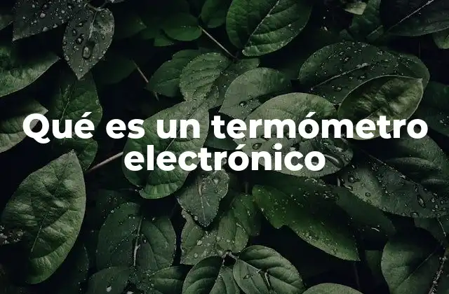 Qué es un Termómetro Electrónico