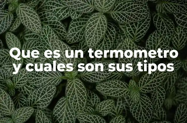 Que es un Termometro y Cuales Son Sus Tipos