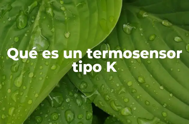 Qué es un Termosensor Tipo K