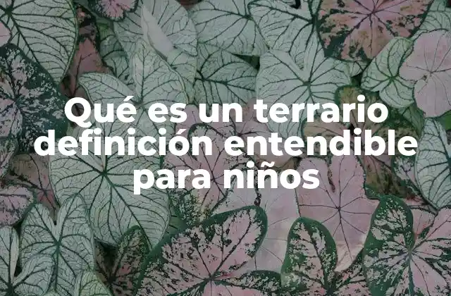 Qué es un Terrario Definición Entendible para Niños