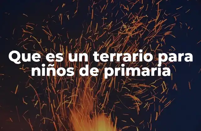 Que es un Terrario para Niños de Primaria