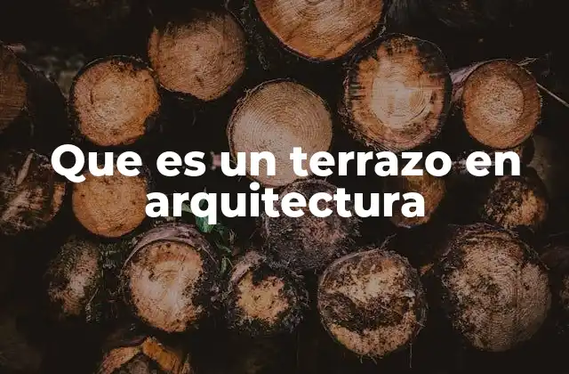 Que es un Terrazo en Arquitectura