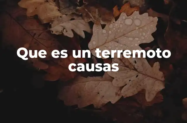Que es un Terremoto Causas 2 Cómo se generan los terremotos sin mencionar directamente la palabra clave