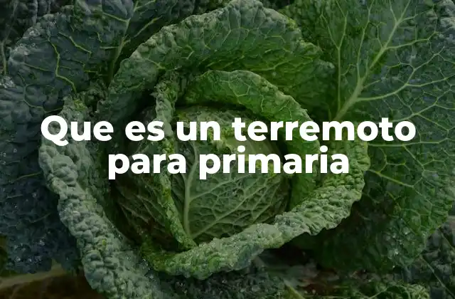 Cómo ocurren los terremotos