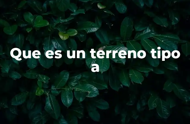 Que es un Terreno Tipo a