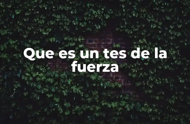 Que es un Tes de la Fuerza