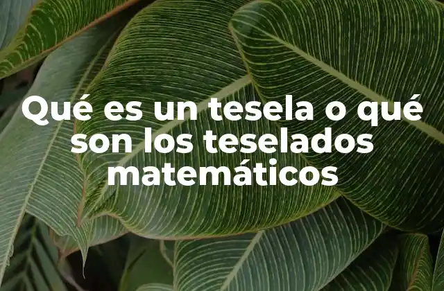 Qué es un Tesela o Qué Son los Teselados Matemáticos