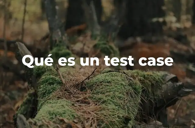 Qué es un Test Case
