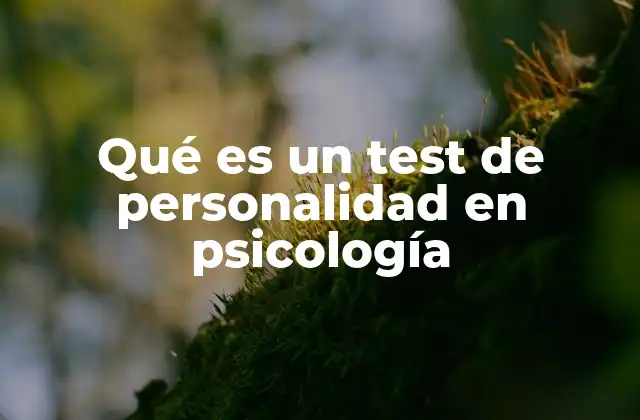 Qué es un Test de Personalidad en Psicología