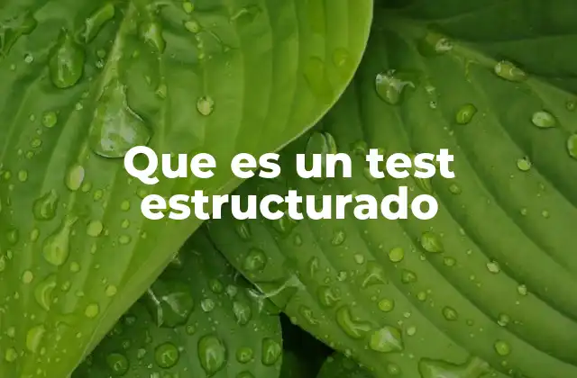 Que es un Test Estructurado