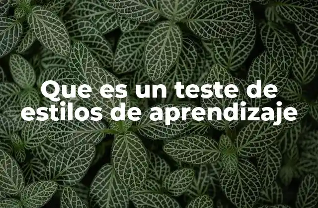 Que es un Teste de Estilos de Aprendizaje