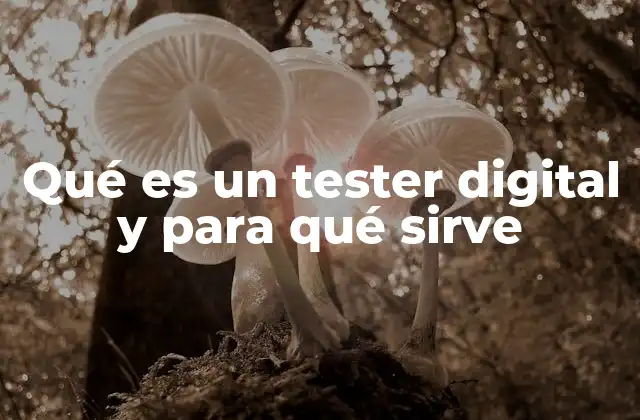 Qué es un Tester Digital y para Qué Sirve
