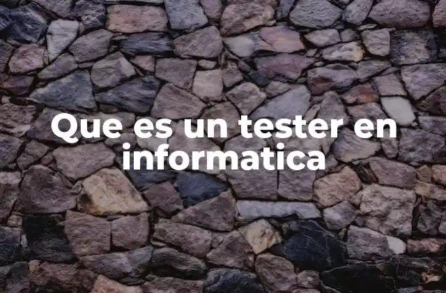 Que es un Tester en Informatica