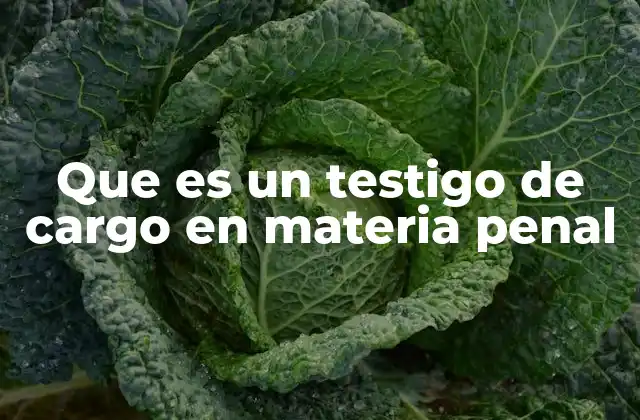 Que es un Testigo de Cargo en Materia Penal