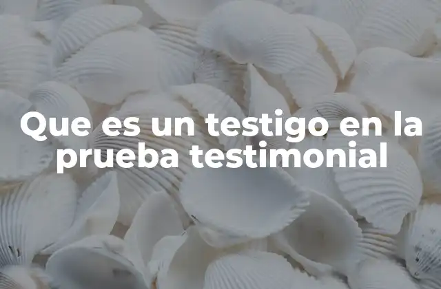 Que es un Testigo en la Prueba Testimonial