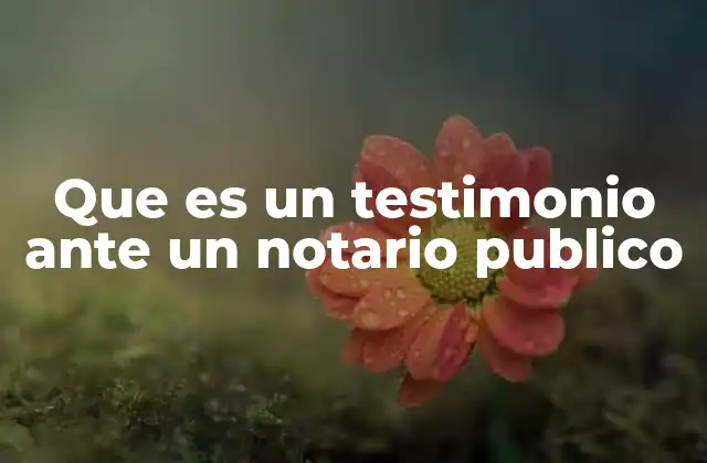 Que es un Testimonio ante un Notario Publico