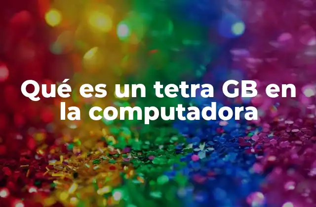 Qué es un Tetra Gb en la Computadora