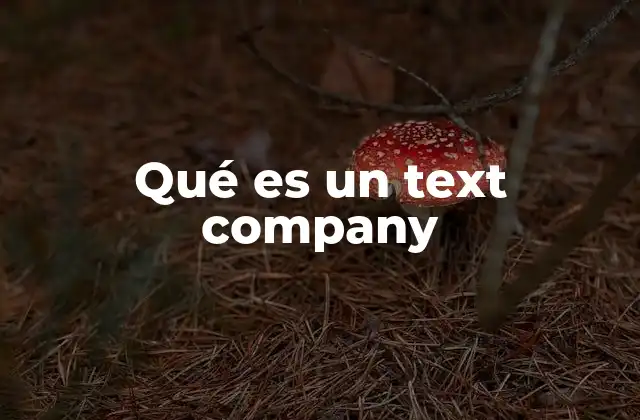 Qué es un Text Company