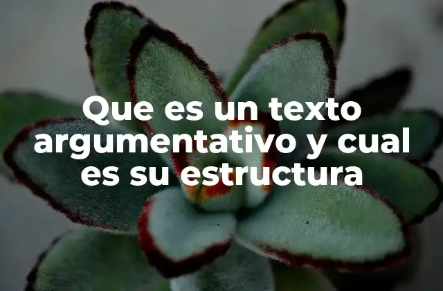 Que es un Texto Argumentativo y Cual es Su Estructura