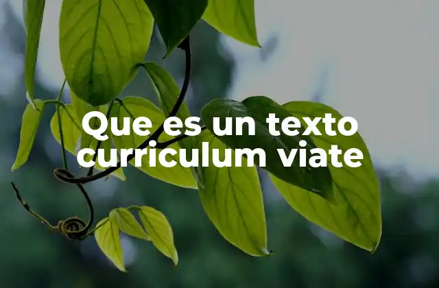 Que es un Texto Curriculum Viate