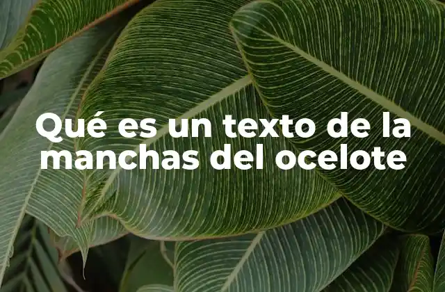 Qué es un Texto de la Manchas Del Ocelote