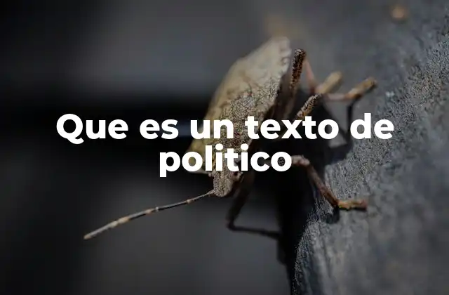 Que es un Texto de Politico